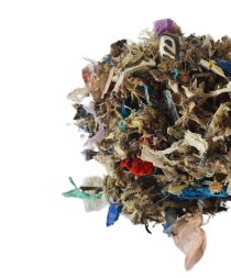 - file://RfKxHpvudxGvR7lulg: