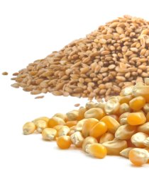 - file://9q7m2wu31flmrk7flg: